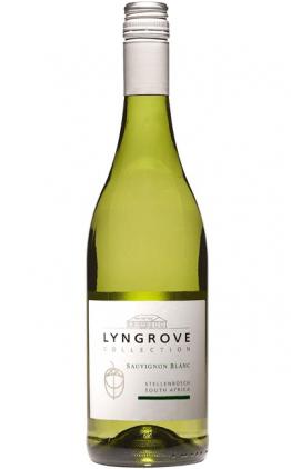 Lyngrove Wines - Lyngrove Sauvignon Blanc Stellenbosch South Africa NV (750ml) (750ml)